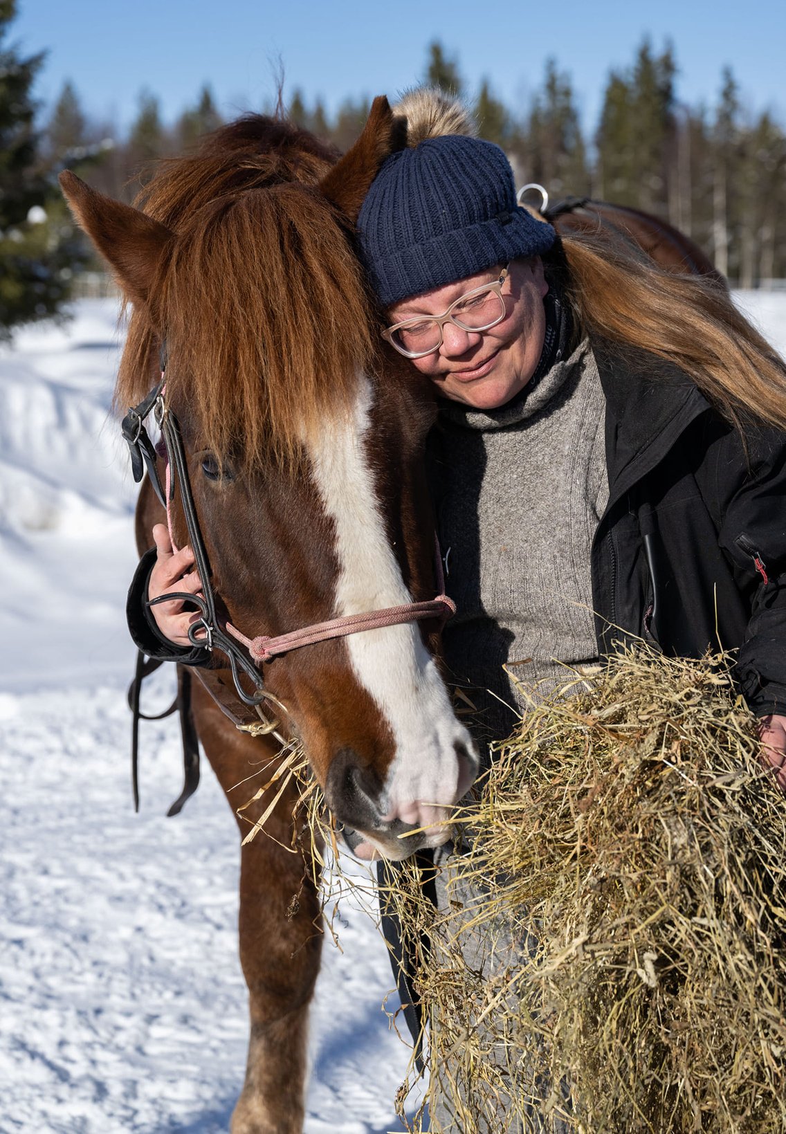 Our horses' wellbeing is our top priority!