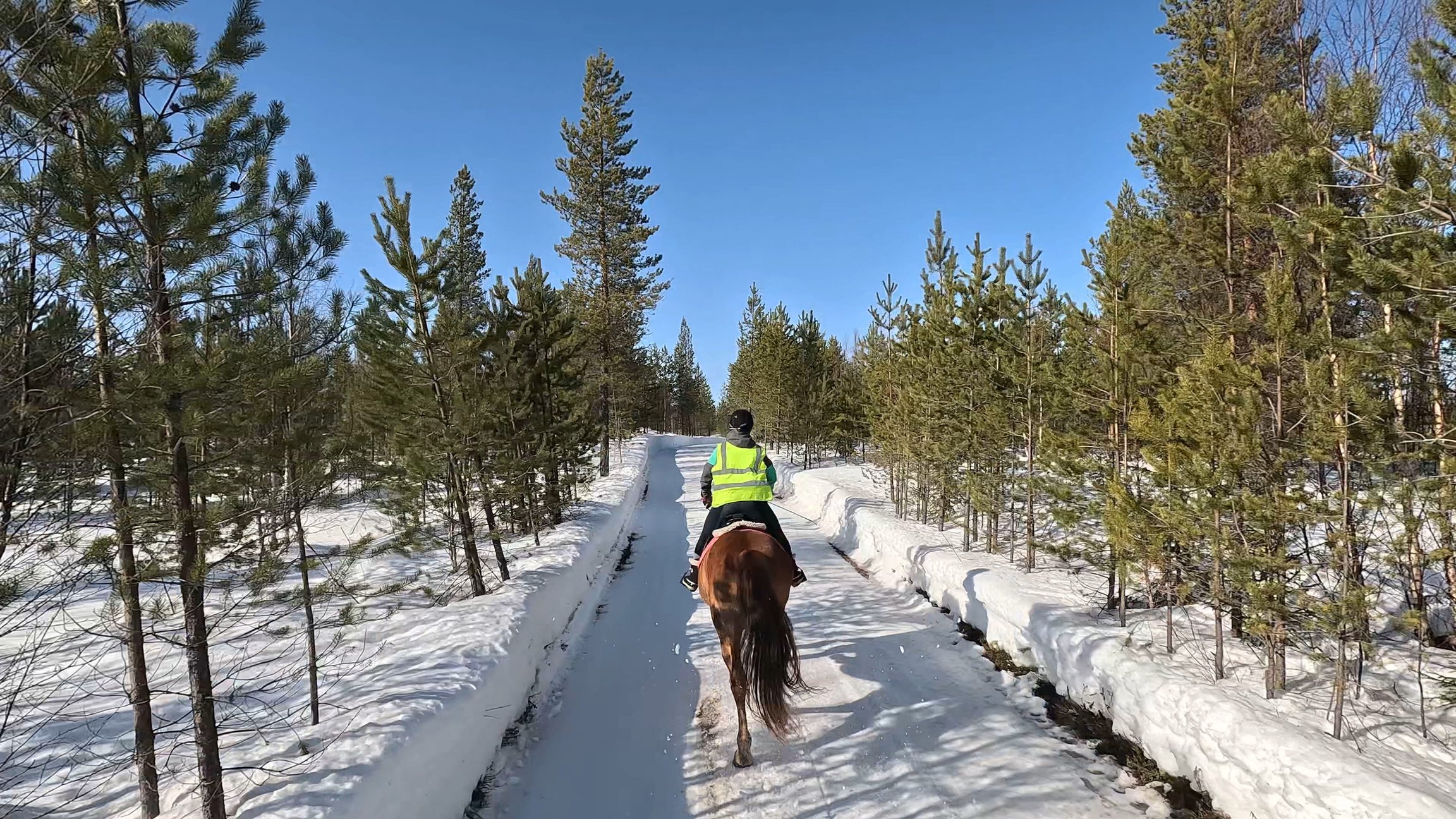 We offer horse riding and trail rides in Lapland for more advanced riders as well, join us for an adventure of cantering through snowy forests.